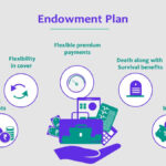 ENDOWMENT PLAN