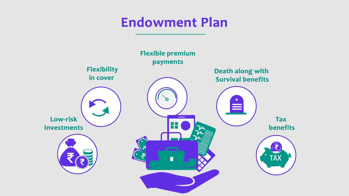 ENDOWMENT PLAN