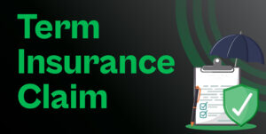 TERM INSURANCE